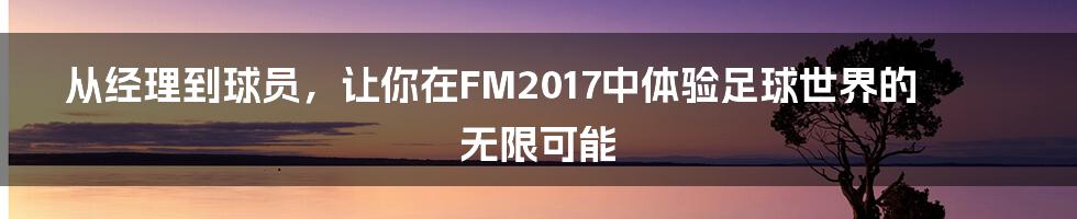从经理到球员,让你在FM2017中体验足球世界的无限可能