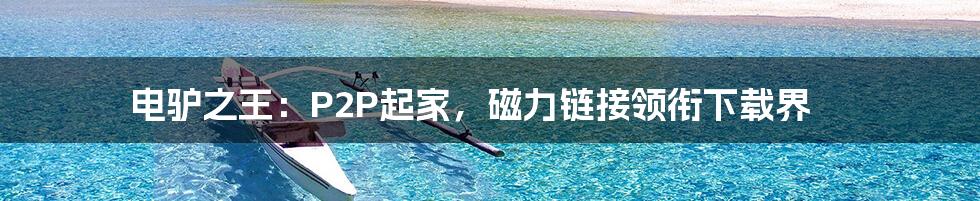 电驴之王:P2P起家,磁力链接领衔下载界