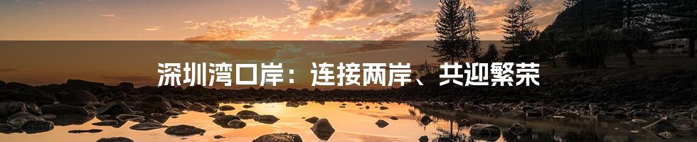 深圳湾口岸：连接两岸、共迎繁荣