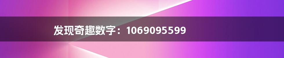 发现奇趣数字:1069095599