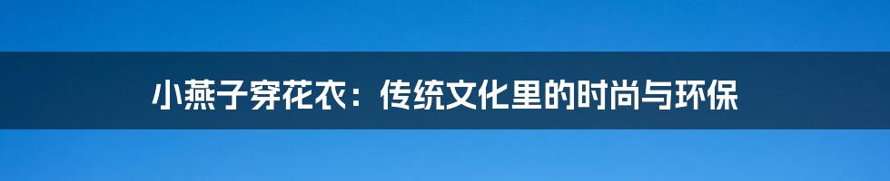 小燕子穿花衣：传统文化里的时尚与环保