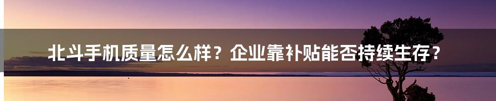 北斗手机质量怎么样？企业靠补贴能否持续生存？