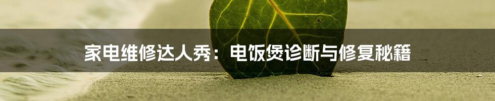 家电维修达人秀:电饭煲诊断与修复秘籍