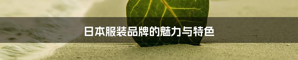 日本服装品牌的魅力与特色
