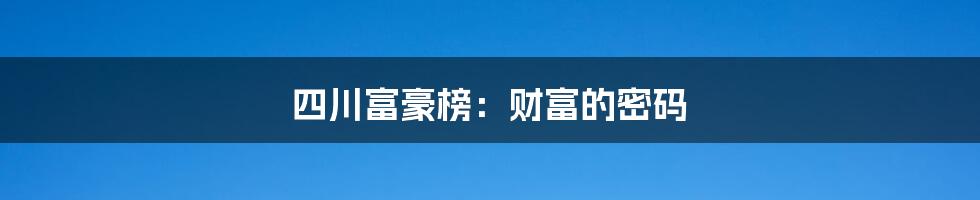 四川富豪榜:财富的密码