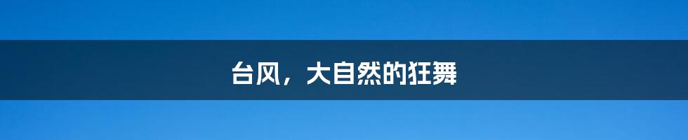 台风,大自然的狂舞