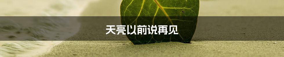 天亮以前说再见