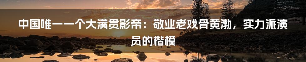 中国唯一一个大满贯影帝：敬业老戏骨黄渤，实力派演员的楷模