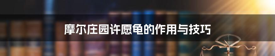 摩尔庄园许愿龟的作用与技巧