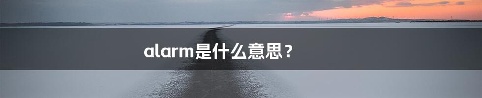 alarm是什么意思？