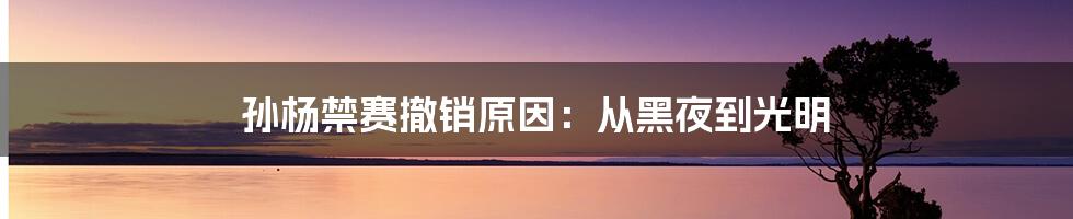 孙杨禁赛撤销原因：从黑夜到光明