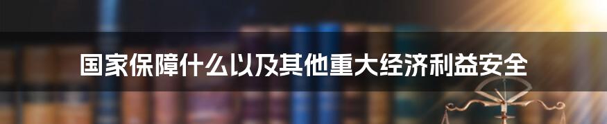 国家保障什么以及其他重大经济利益安全