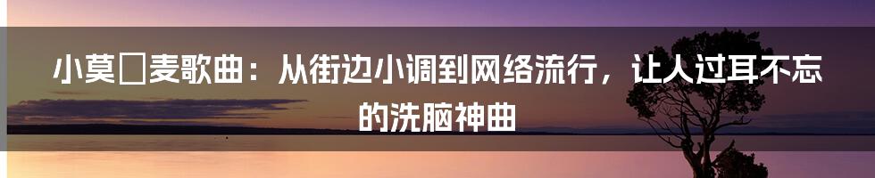 小莫騒麦歌曲：从街边小调到网络流行，让人过耳不忘的洗脑神曲