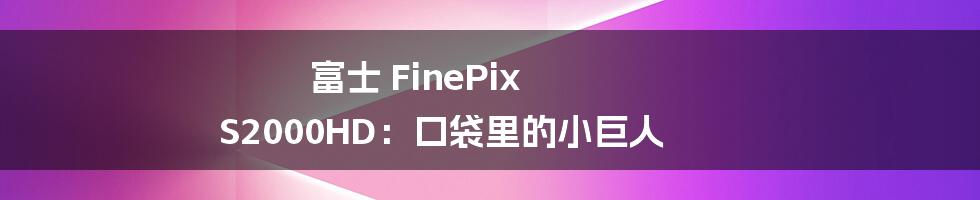 富士 FinePix S2000HD:口袋里的小巨人