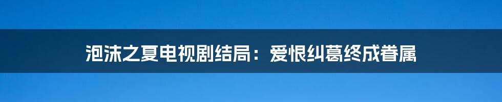 泡沫之夏电视剧结局：爱恨纠葛终成眷属