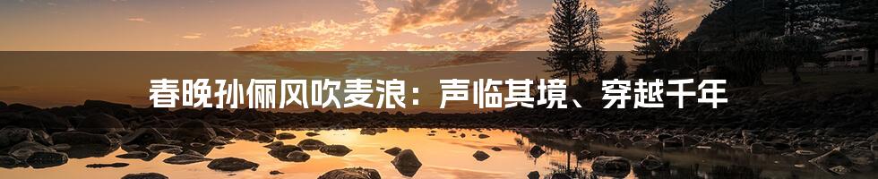 春晚孙俪风吹麦浪：声临其境、穿越千年