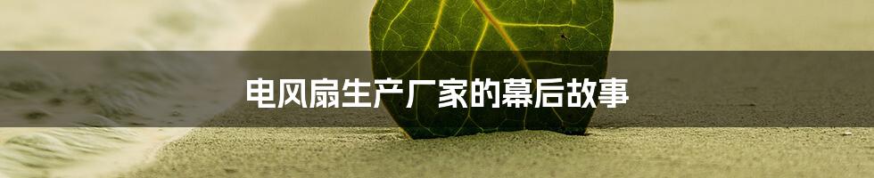 电风扇生产厂家的幕后故事