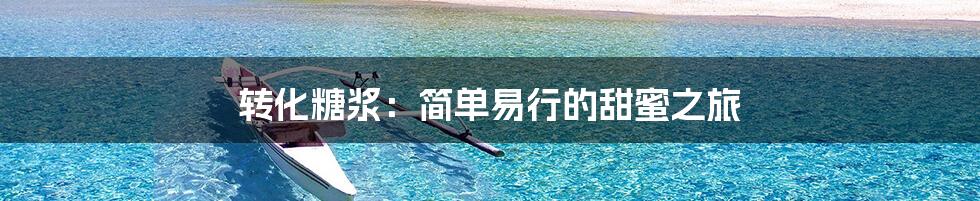 转化糖浆：简单易行的甜蜜之旅