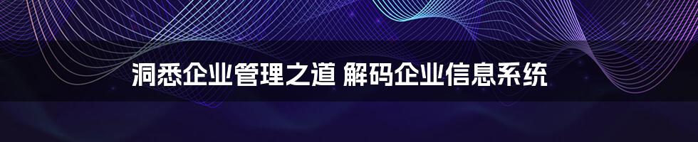 洞悉企业管理之道 解码企业信息系统