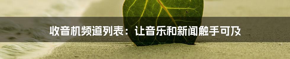 收音机频道列表：让音乐和新闻触手可及
