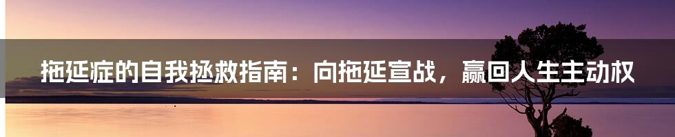 拖延症的自我拯救指南:向拖延宣战,赢回人生主动权