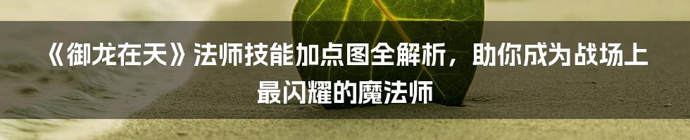 《御龙在天》法师技能加点图全解析,助你成为战场上最闪耀的魔法师