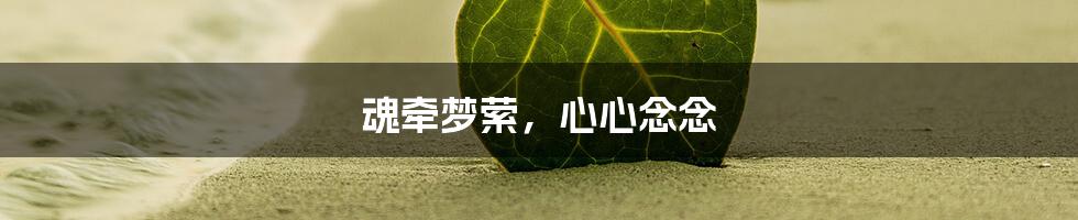 魂牵梦萦,心心念念