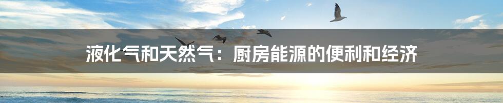 液化气和天然气:厨房能源的便利和经济