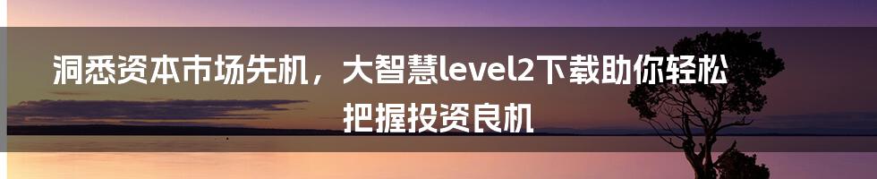 洞悉资本市场先机，大智慧level2下载助你轻松把握投资良机