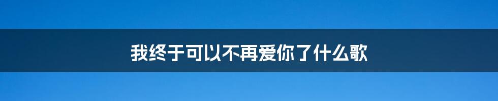 我终于可以不再爱你了什么歌