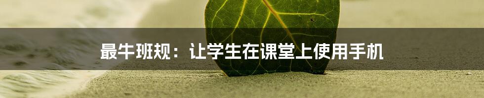 最牛班规：让学生在课堂上使用手机