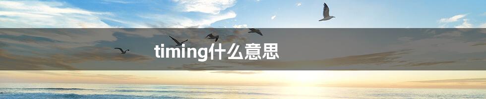 timing什么意思