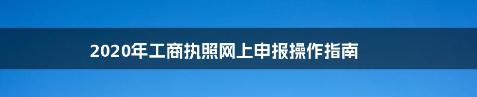 2020年工商执照网上申报操作指南