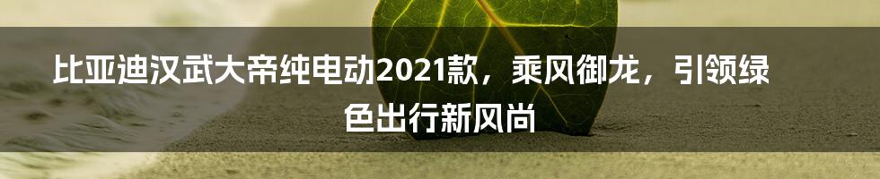 比亚迪汉武大帝纯电动2021款,乘风御龙,引领绿色出行新风尚