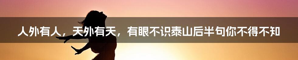 人外有人，天外有天，有眼不识泰山后半句你不得不知