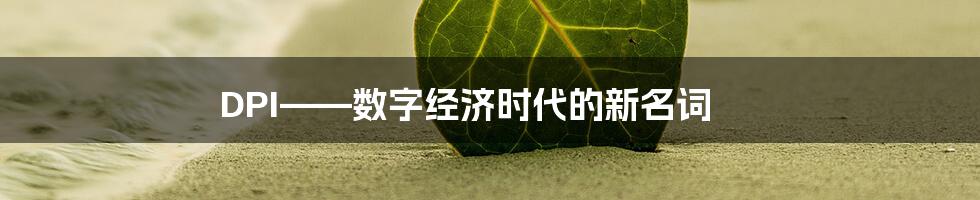 DPI——数字经济时代的新名词