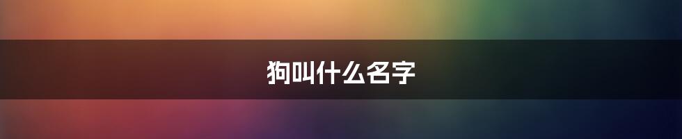 狗叫什么名字