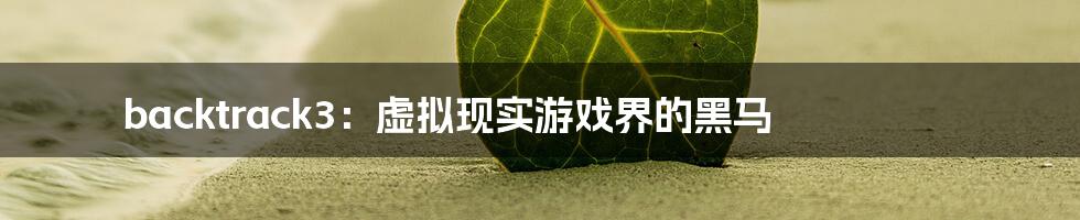 backtrack3:虚拟现实游戏界的黑马