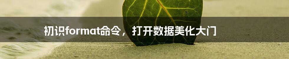 初识format命令，打开数据美化大门