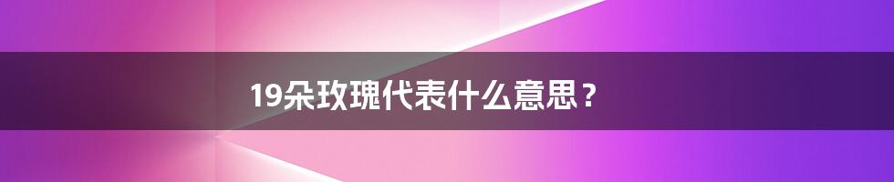 19朵玫瑰代表什么意思？