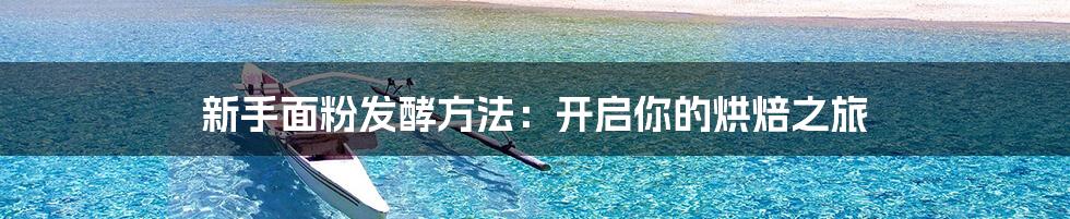 新手面粉发酵方法：开启你的烘焙之旅