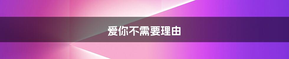 爱你不需要理由