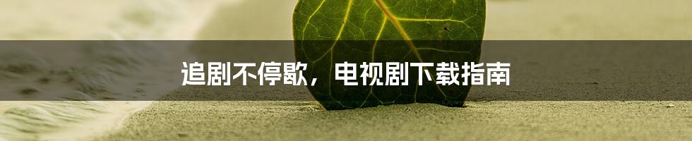 追剧不停歇，电视剧下载指南