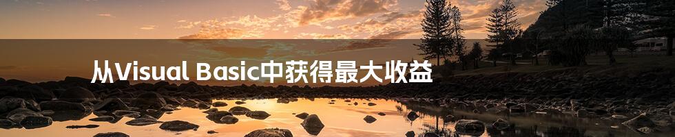 从Visual Basic中获得最大收益