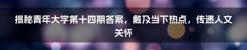 揭秘青年大学第十四期答案，触及当下热点，传递人文关怀