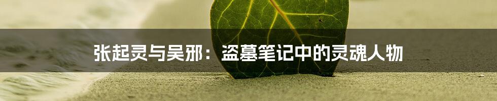 张起灵与吴邪:盗墓笔记中的灵魂人物