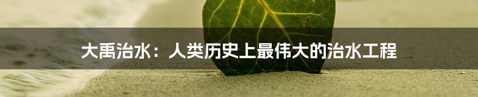 大禹治水：人类历史上最伟大的治水工程