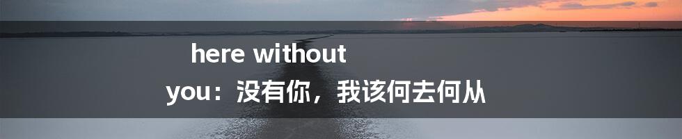 here without you：没有你，我该何去何从