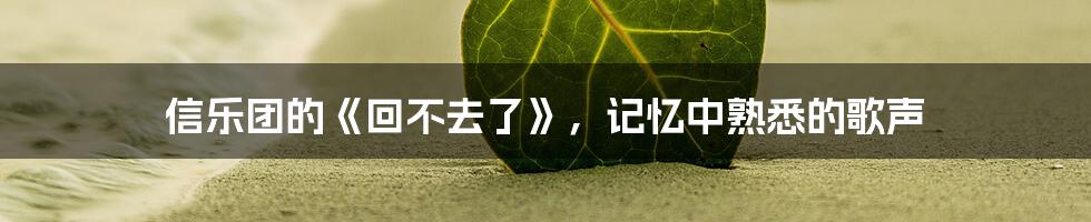 信乐团的《回不去了》,记忆中熟悉的歌声