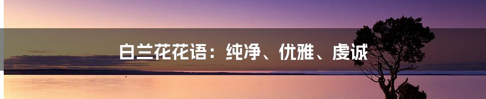 白兰花花语：纯净、优雅、虔诚